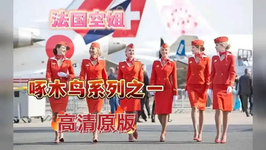 《法国空姐4》资源下载-法国空姐2019满天星法版高清观看-法版空姐1-3季完整版在线观看
