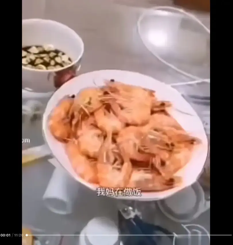 《大虾母子厨房完整版》高清视频免费在线观看-全网盘资源-猎奇视频梗揭秘